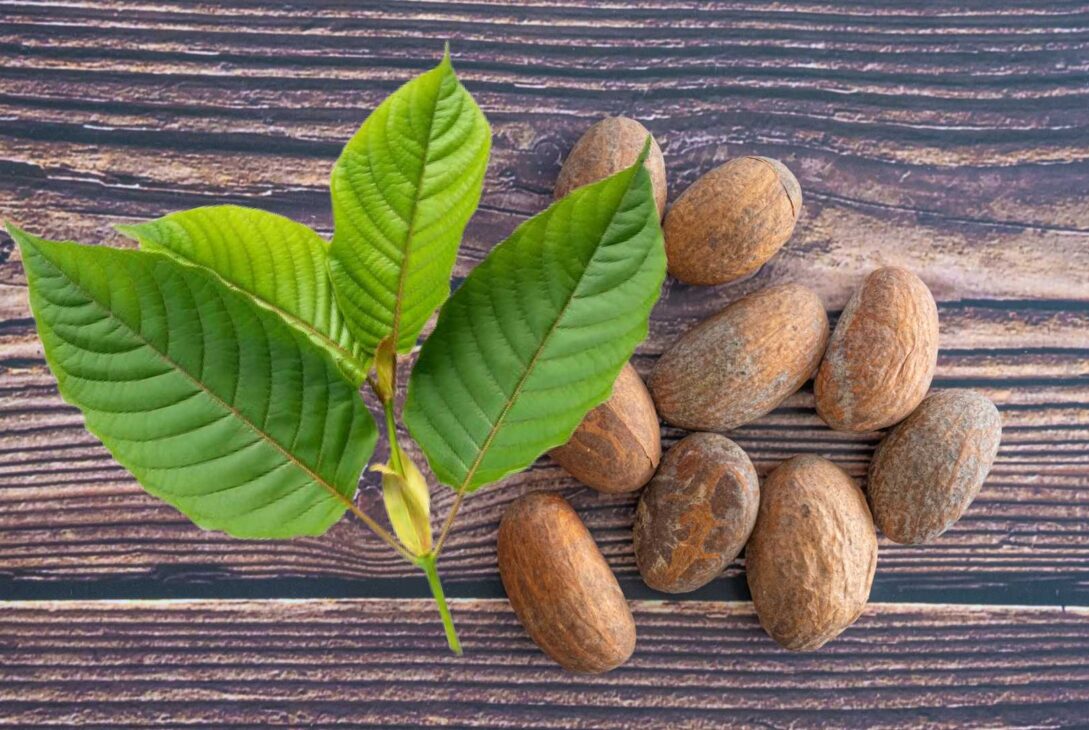 Akuamma-Seeds-vs-Kratom_-Which-One-Is-Better
