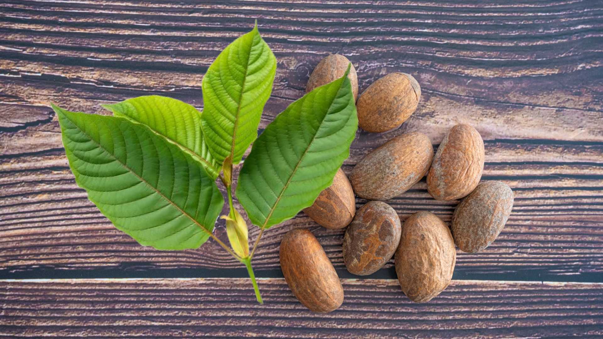 Akuamma-Seeds-vs-Kratom_-Which-One-Is-Better