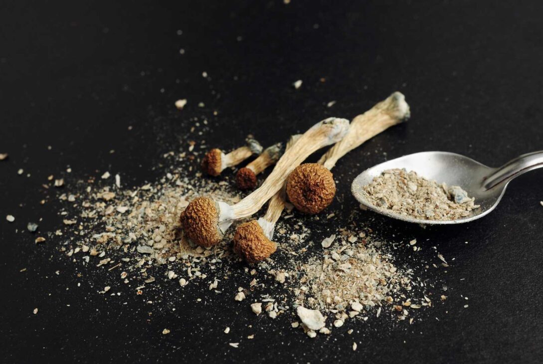 How-Long-Does-Magic-Mushrooms-Stay-In-Your-System