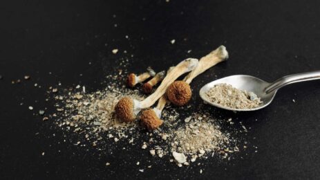 How-Long-Does-Magic-Mushrooms-Stay-In-Your-System