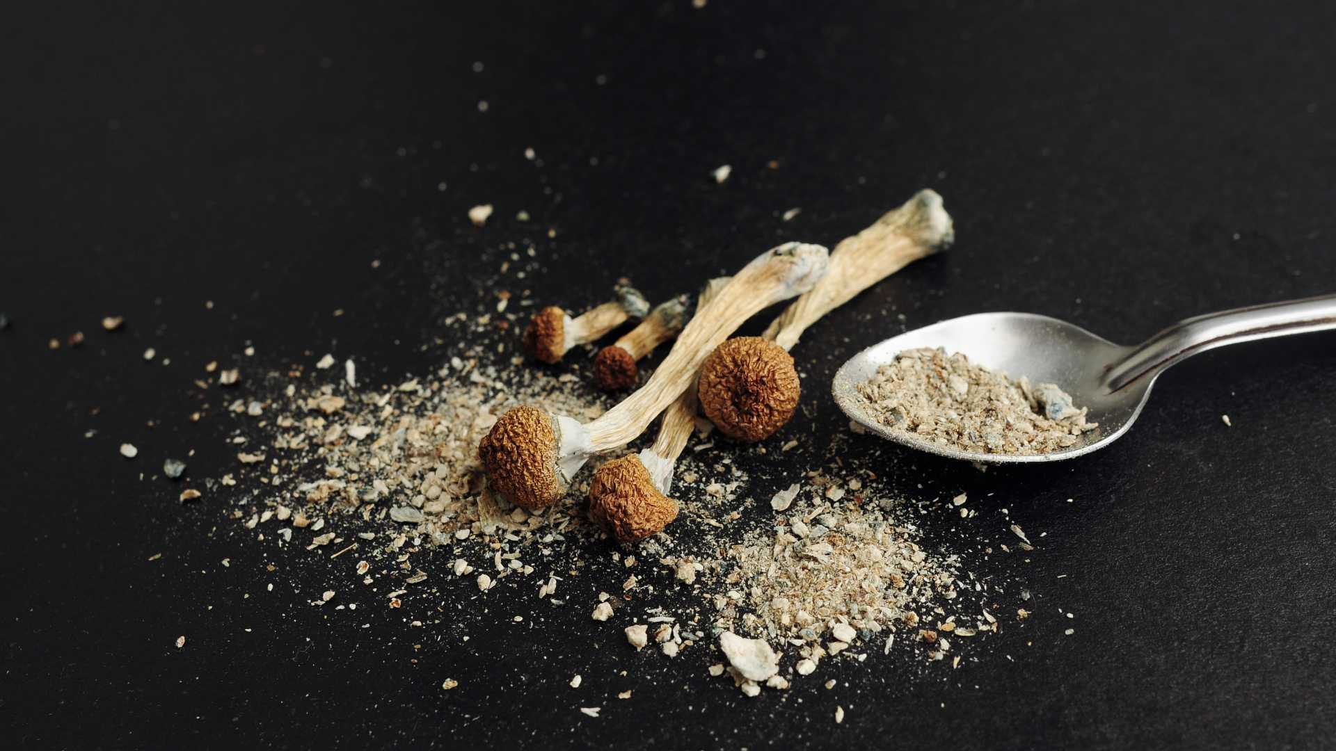 How-Long-Does-Magic-Mushrooms-Stay-In-Your-System