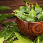 benefits of using kanna (2)