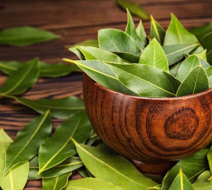 benefits of using kanna (2)